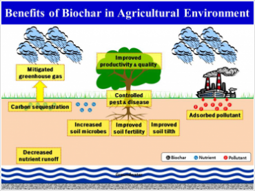 Benefits of Biochar in Agricultural Enviroment